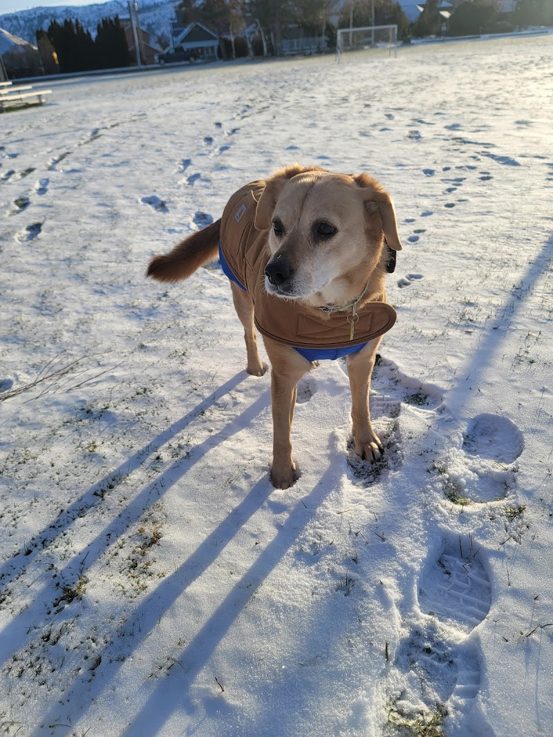 Cascade Veterinary Clinics: Wenatchee