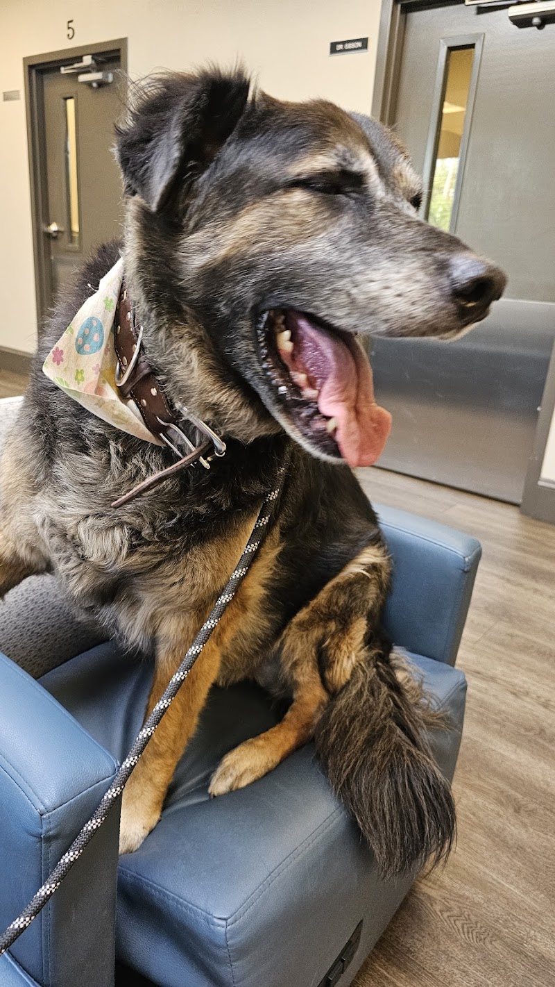 Cascade Veterinary Clinics: Wenatchee