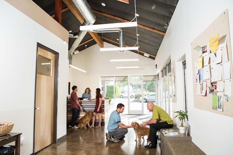 OREV, Specialty Vet Care - Portland