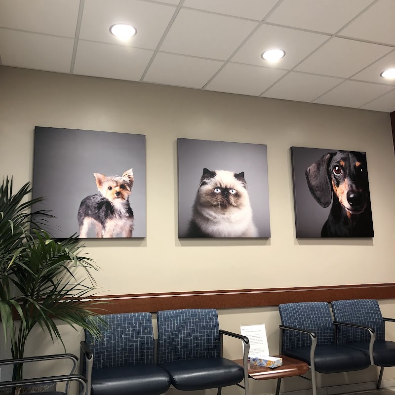 VCA Animal Specialty Group