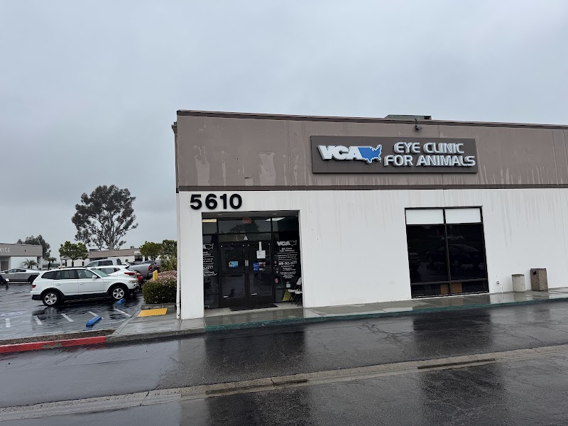 VCA Eye Clinic for Animals