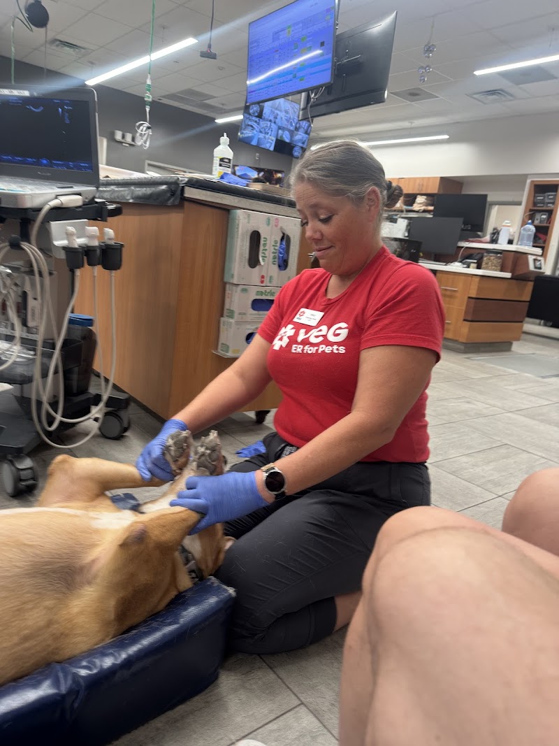 Veterinary Emergency Group