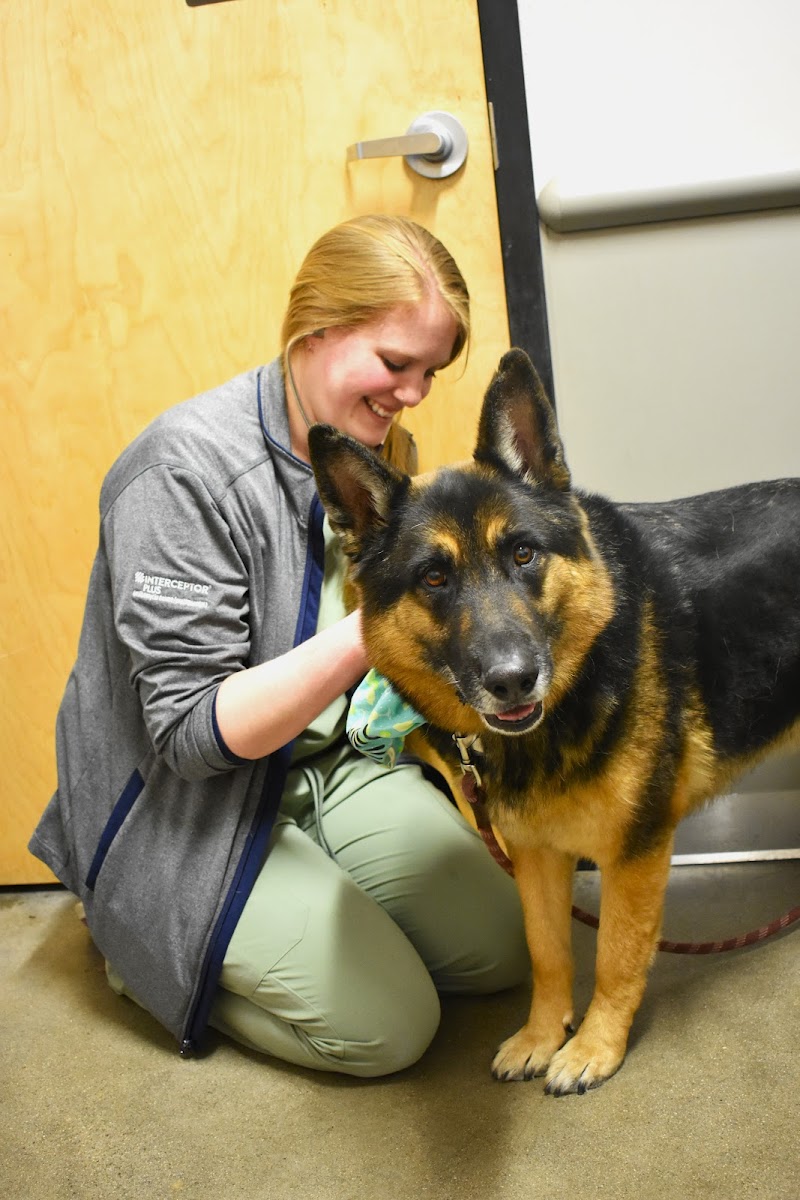 5280 Veterinary Care