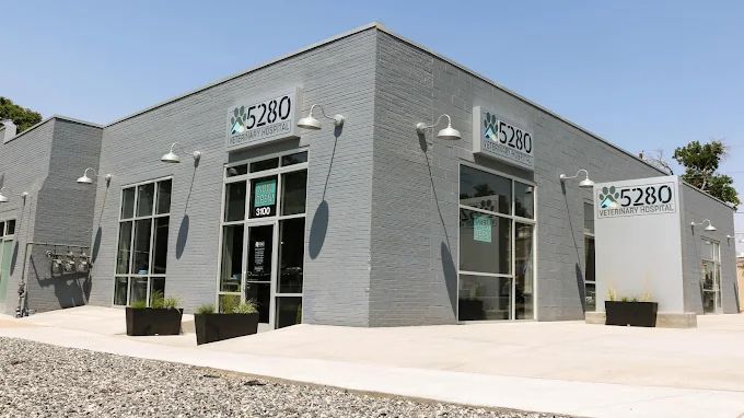 5280 Veterinary Care