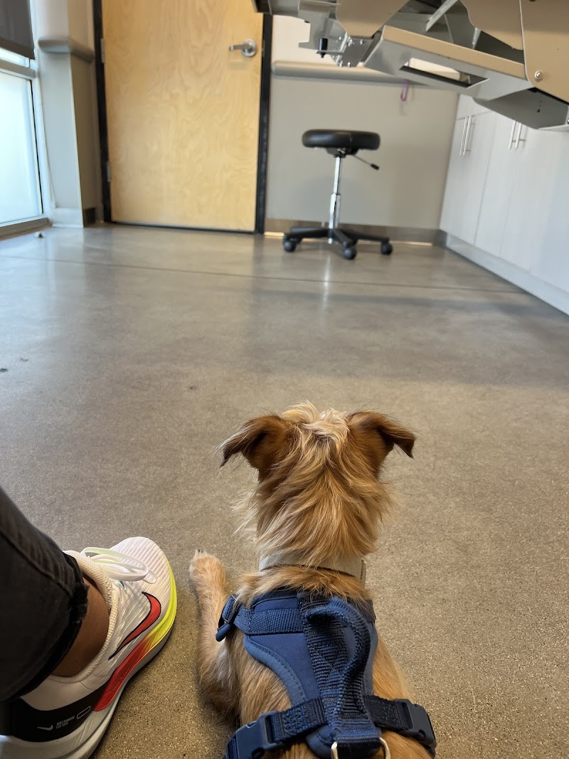 5280 Veterinary Care