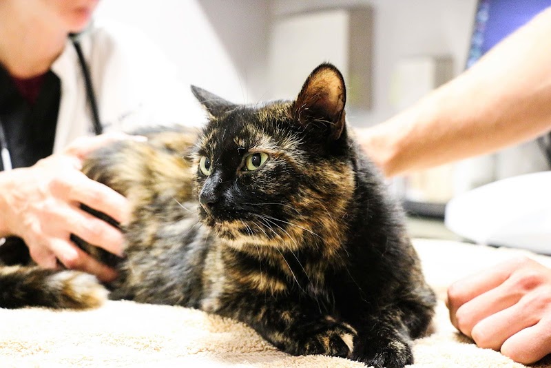 5280 Veterinary Care