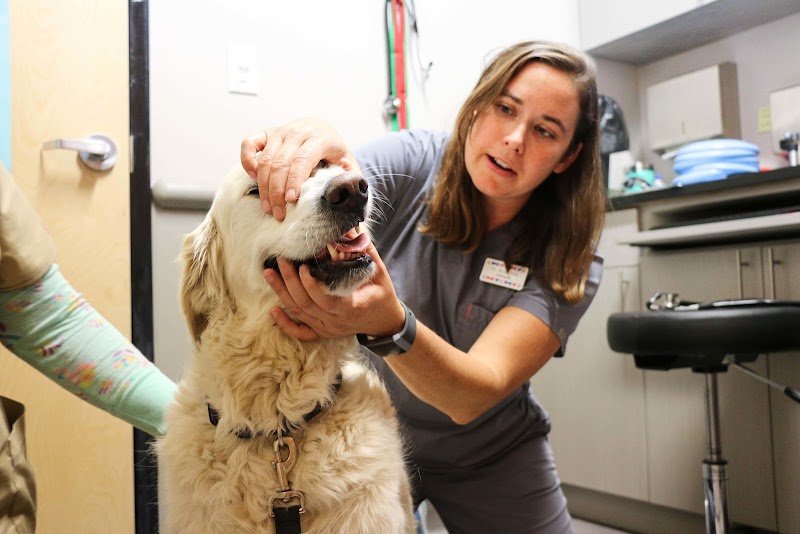 5280 Veterinary Care