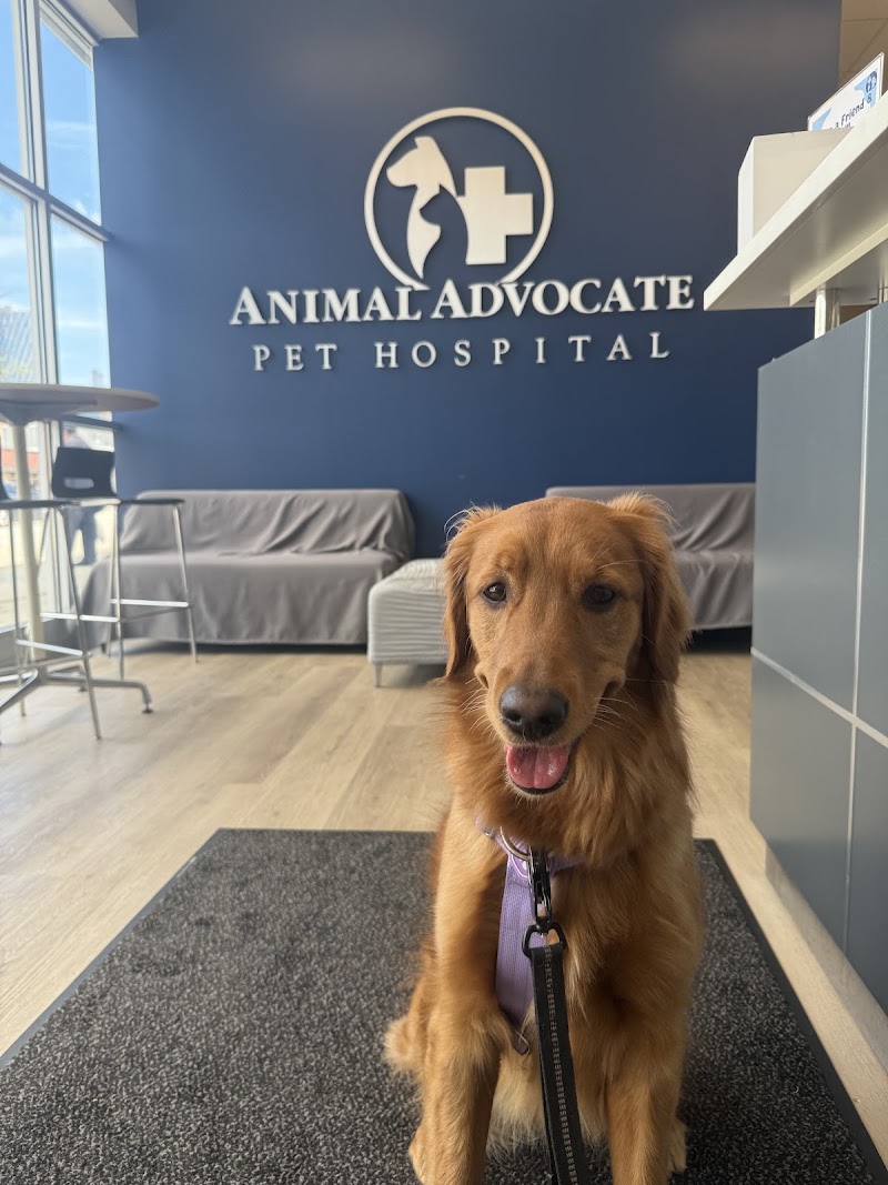 Animal Advocate Pet Hospital