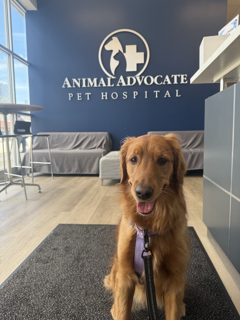 Animal Advocate Pet Hospital