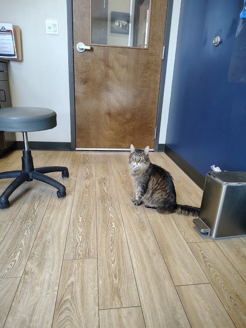 Animal Advocate Pet Hospital