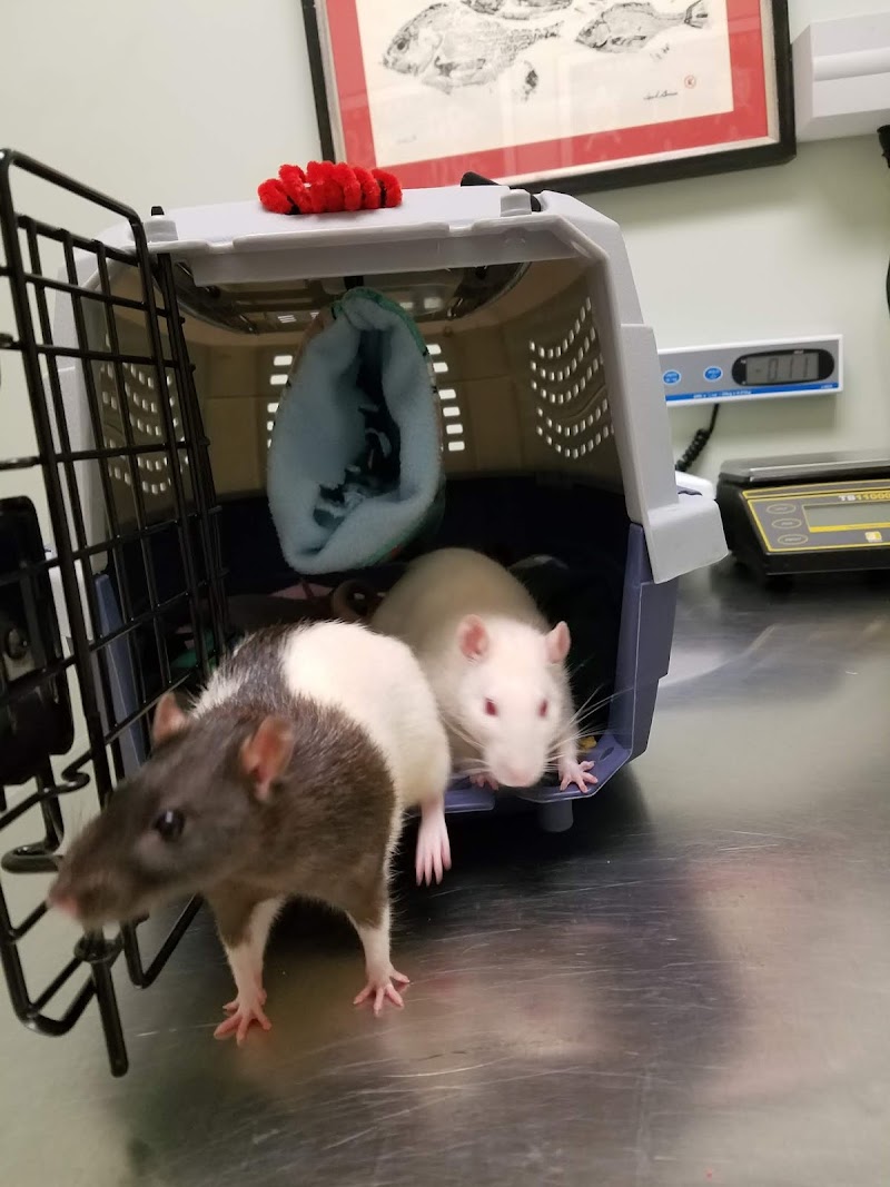 Center For Avian & Exotic Medicine