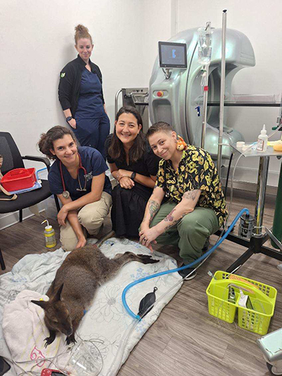 Center For Avian & Exotic Medicine