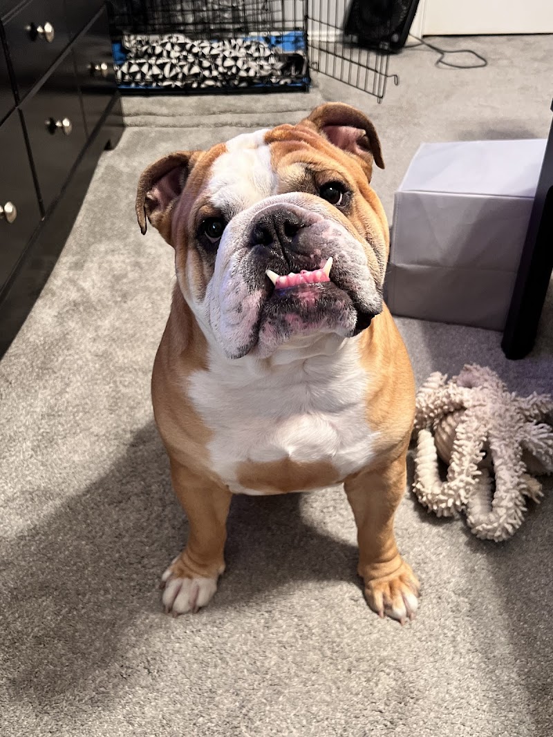 Emergency Pet Clinic of Texas