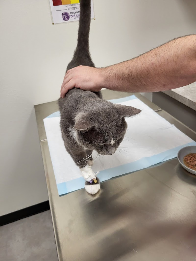 Emergency Pet Clinic of Texas