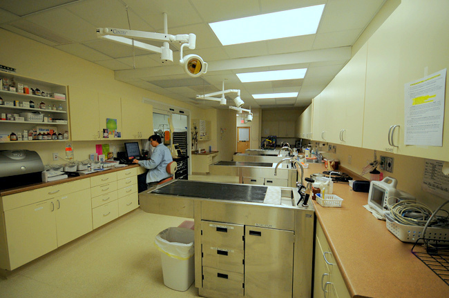 Veterinary Emergency & Surgery Hospital