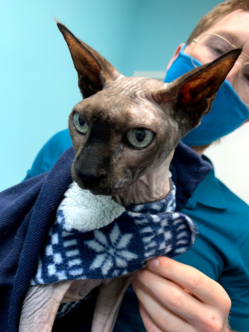 Miami Beach Animal Wellness and Specialty Center