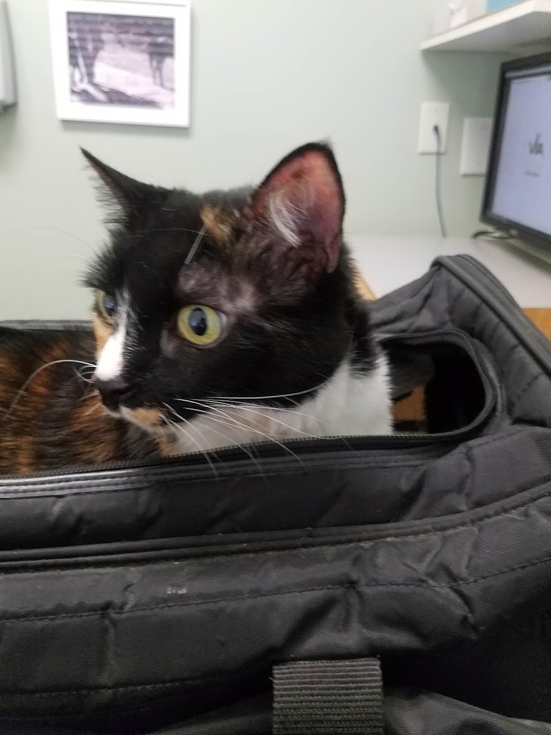 Mission Pet Hospital