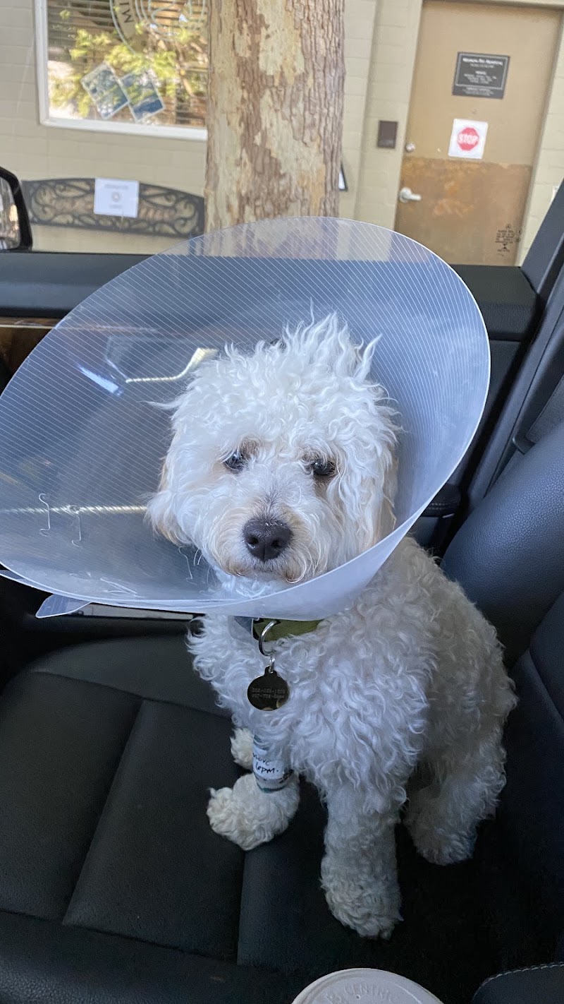 Mission Pet Hospital