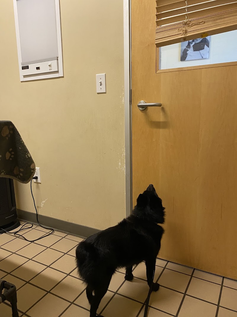 Healthy Pets Veterinary Hospital