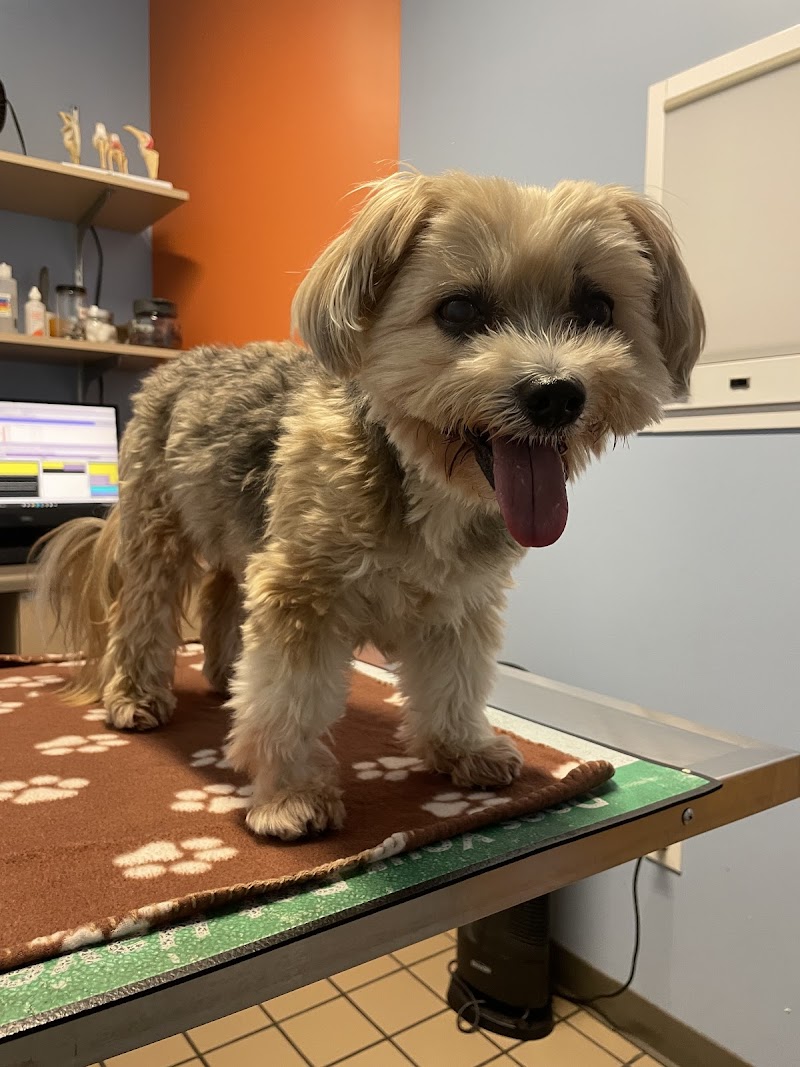 Healthy Pets Veterinary Hospital