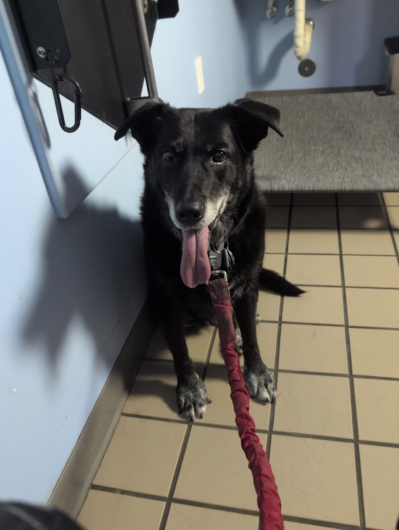Healthy Pets Veterinary Hospital