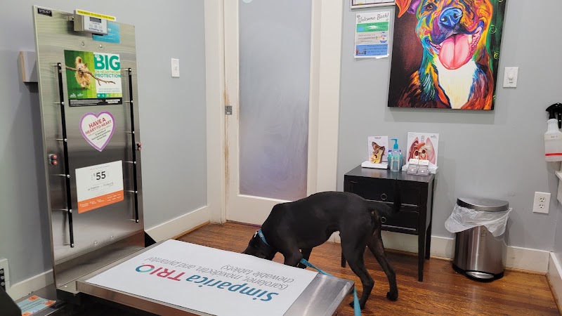 Midtown Veterinary Hospital