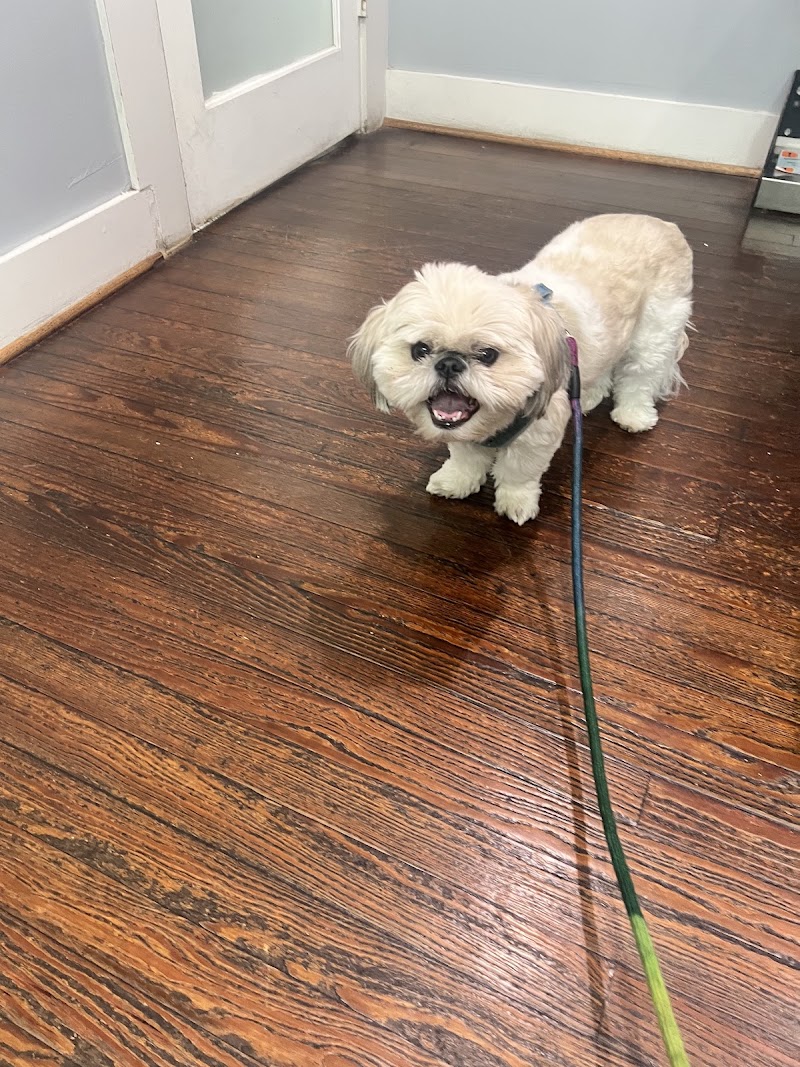 Midtown Veterinary Hospital