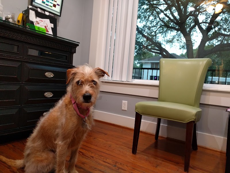 Midtown Veterinary Hospital