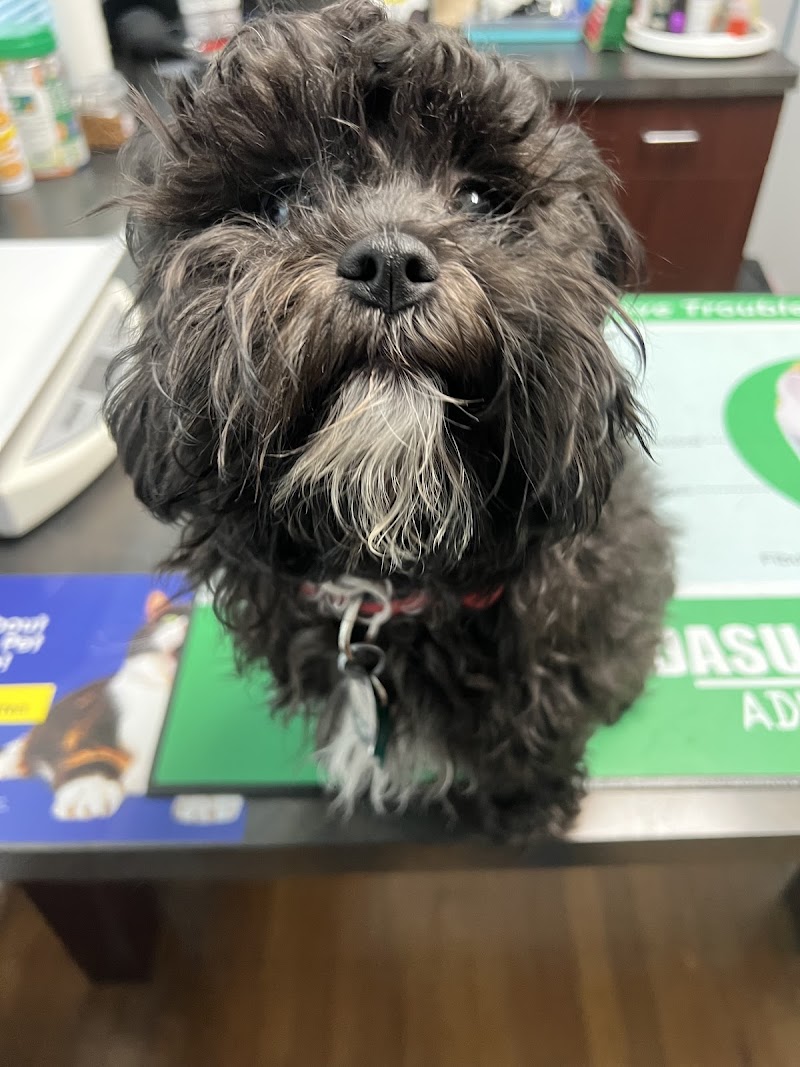 Midtown Veterinary Hospital