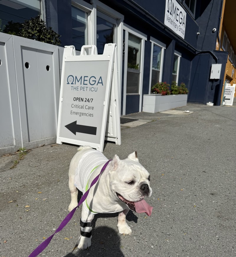 Omega Veterinary Group