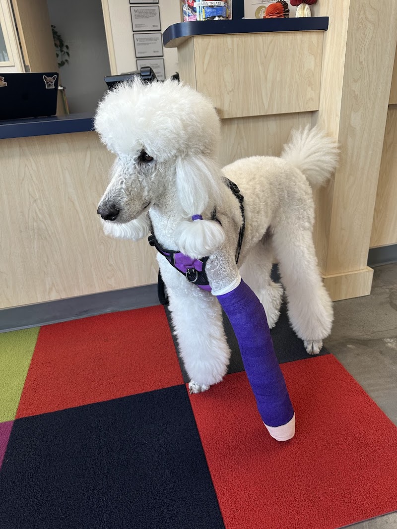 Omega Veterinary Group