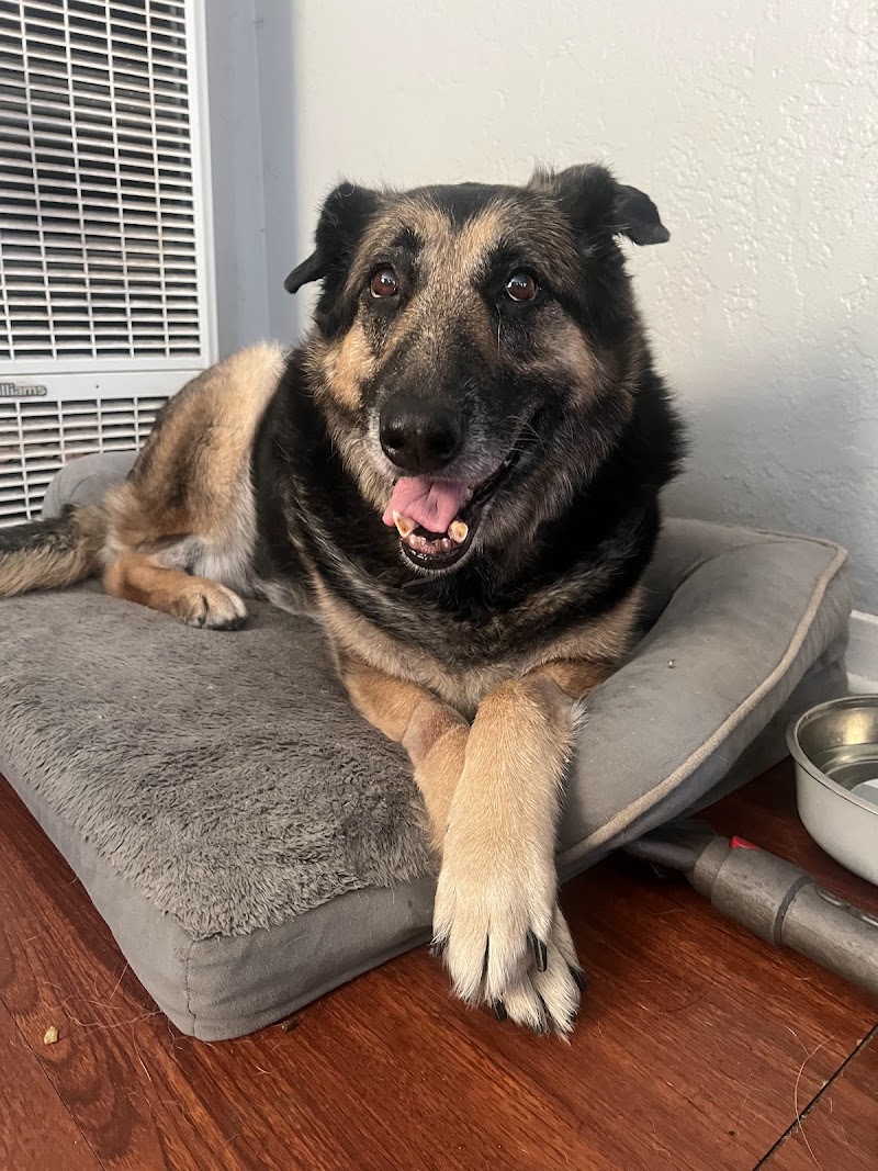 Omega Veterinary Group
