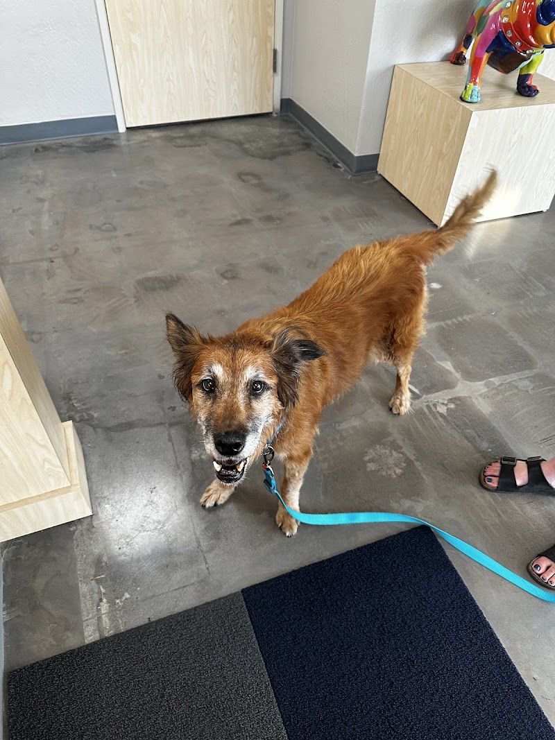 Omega Veterinary Group