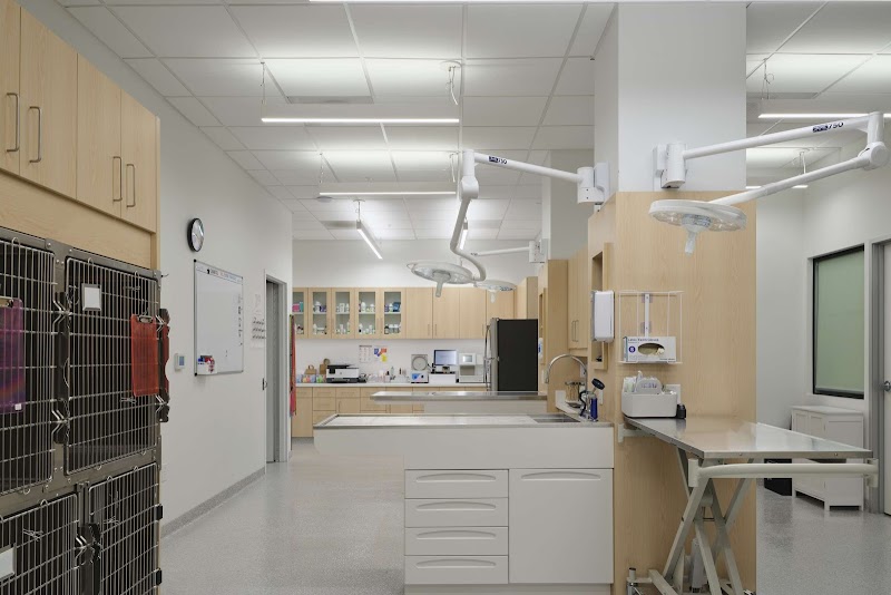 Hancock Park Veterinary Clinic