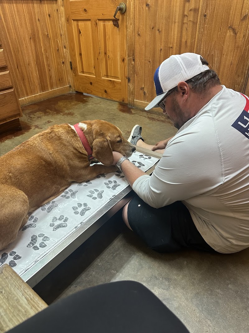 Animal Hospital Of Humble