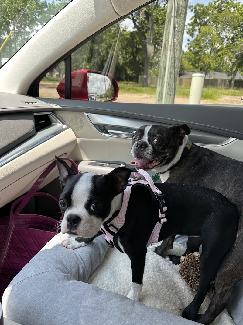 Animal Hospital Of Humble