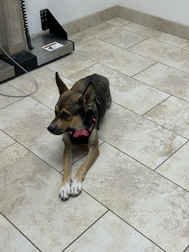 Memorial Veterinary Clinic