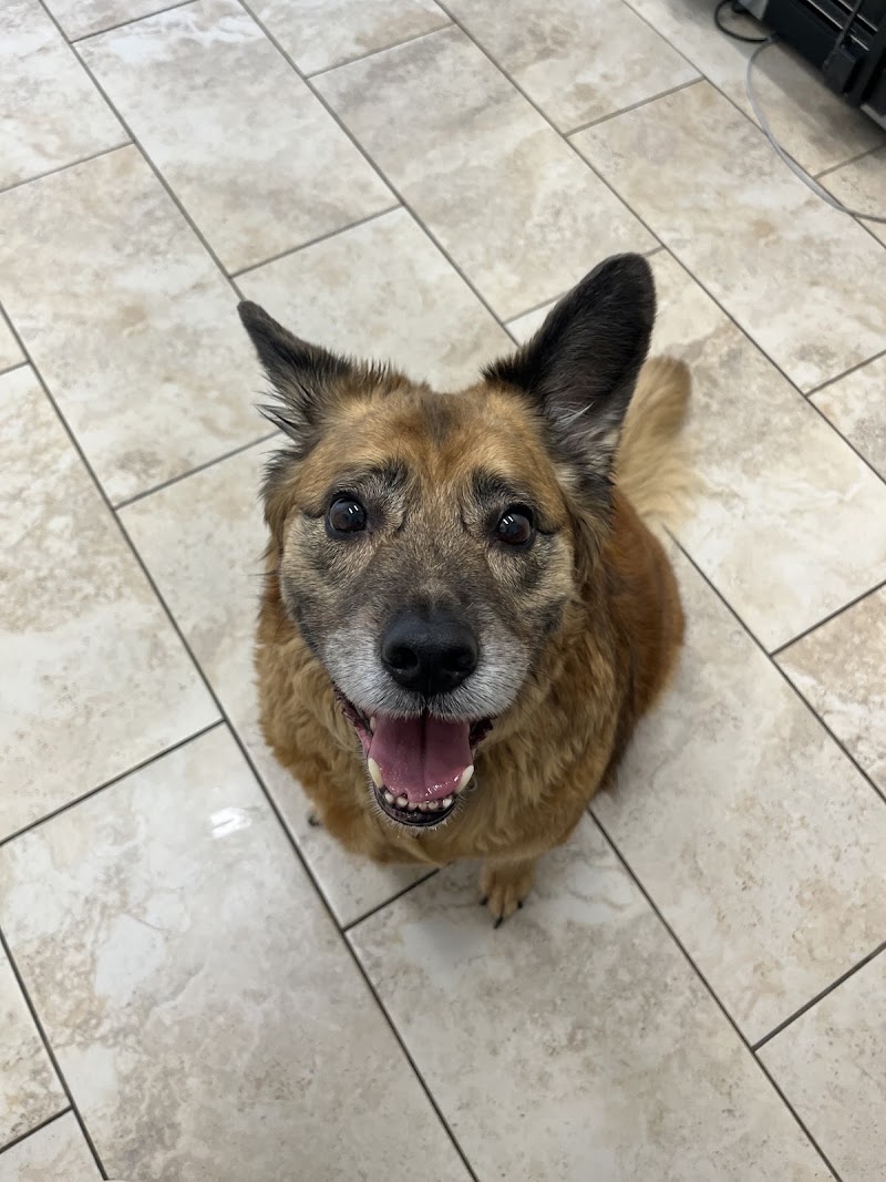 Memorial Veterinary Clinic