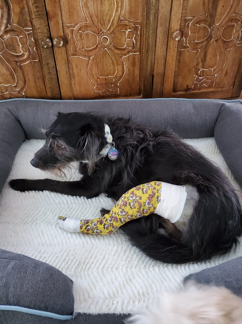 Pleasanton Road Animal Hospital