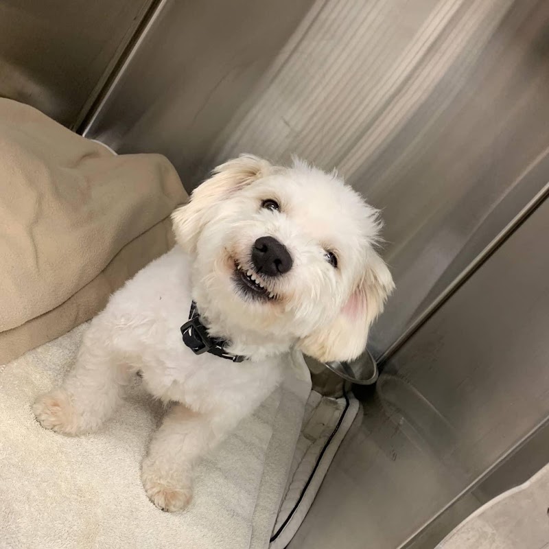 PETS Referral Center