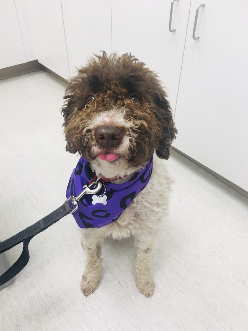 PETS Referral Center - Berkeley