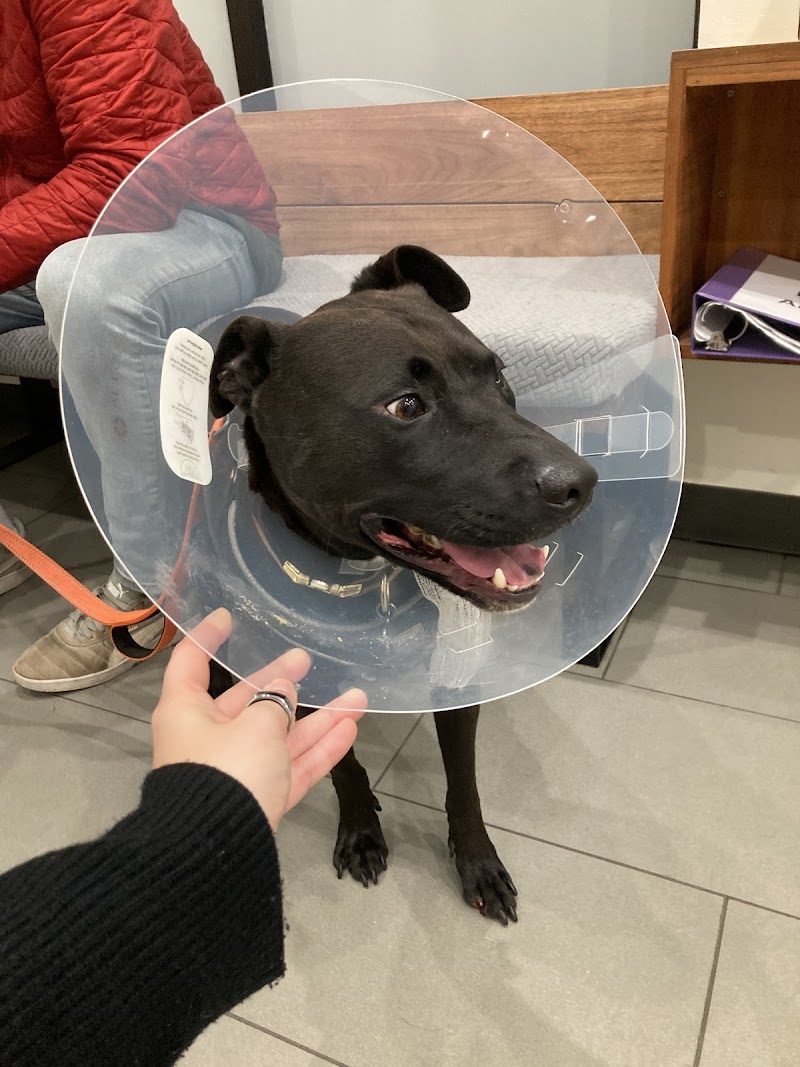 PETS Referral Center
