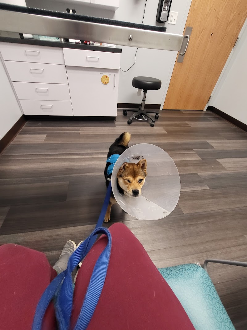 Eye Care for Animals - Chicago