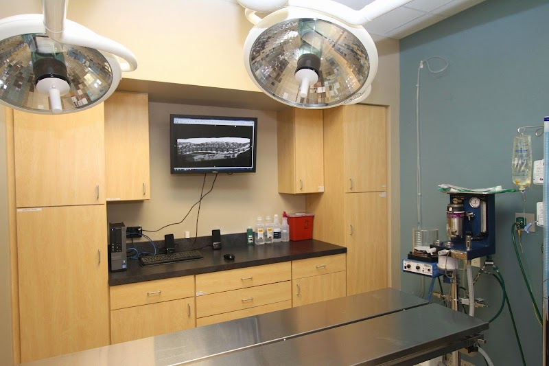 Eye Care for Animals - Chicago