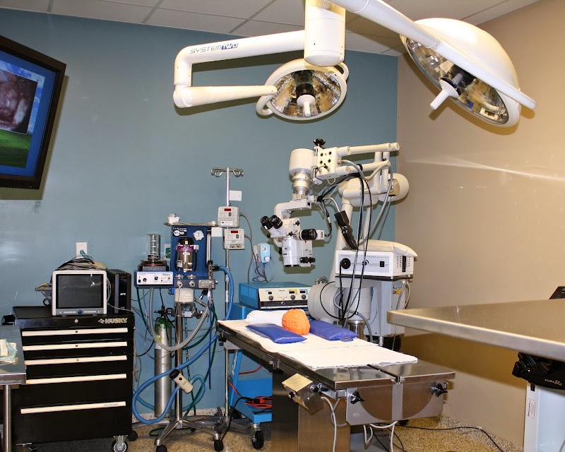 Eye Care for Animals - Chicago