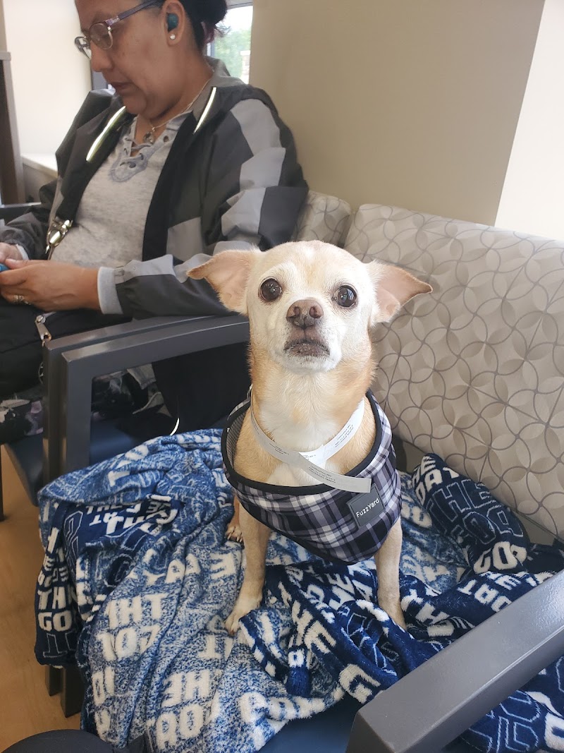 Chicago Veterinary Emergency Center and Specialty Care