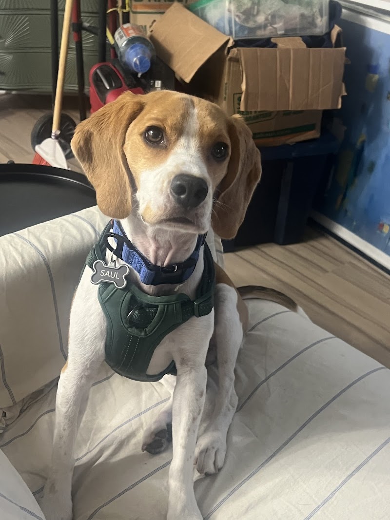Chicago Veterinary Emergency Center and Specialty Care
