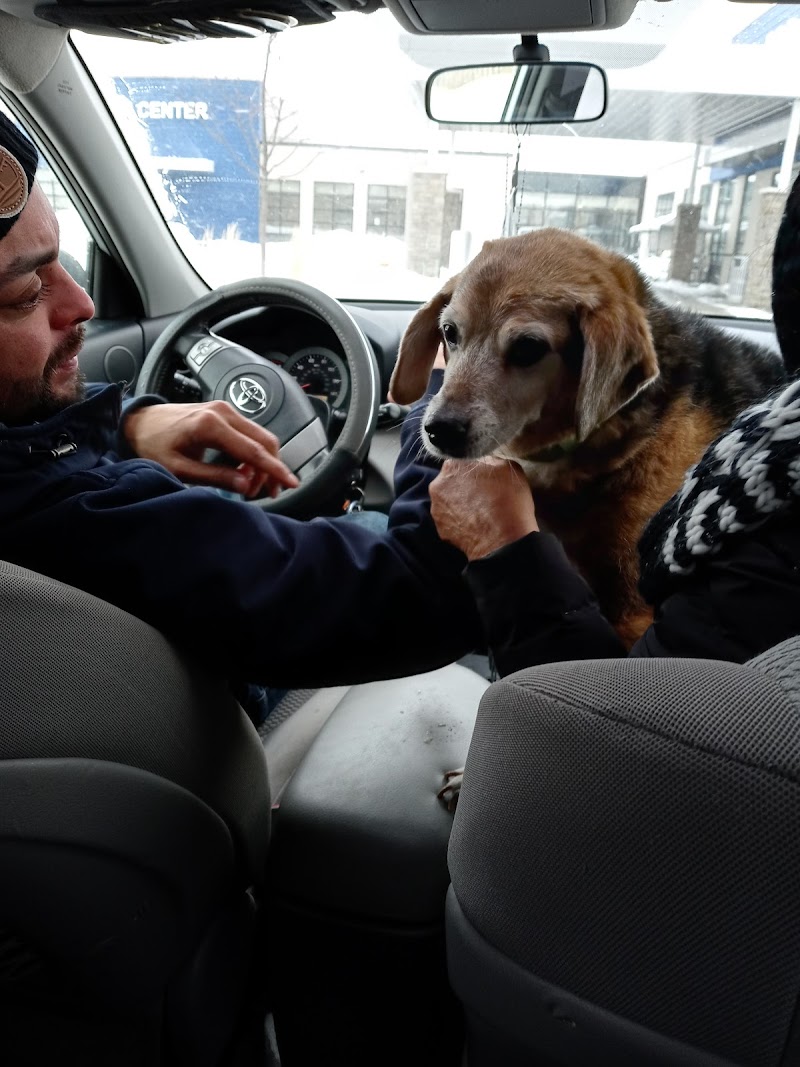 Chicago Veterinary Emergency Center and Specialty Care - Chicago