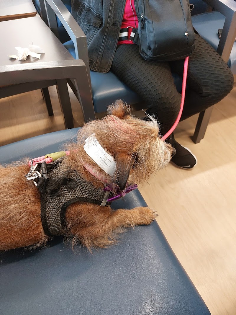 Chicago Veterinary Emergency Center and Specialty Care