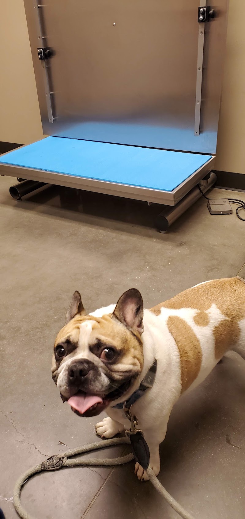 Round Rock Animal Hospital